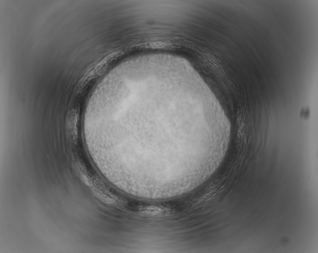 X0000115480542200912040955