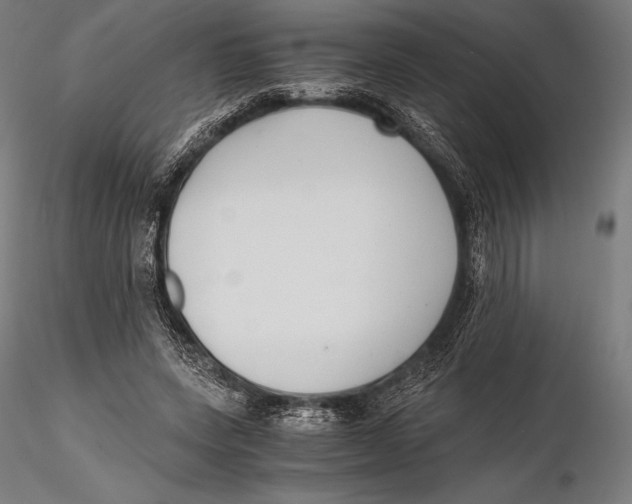 X0000115480543200912040955