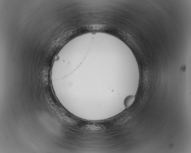 X0000115480545200912040955