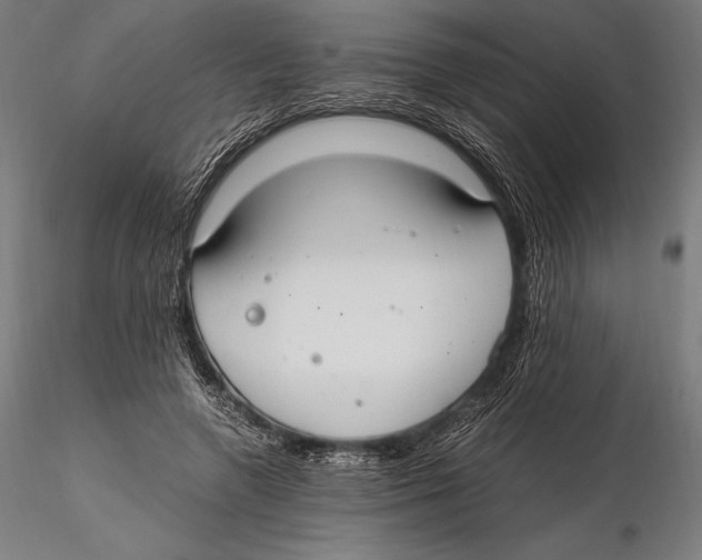 X0000115480546200912040955