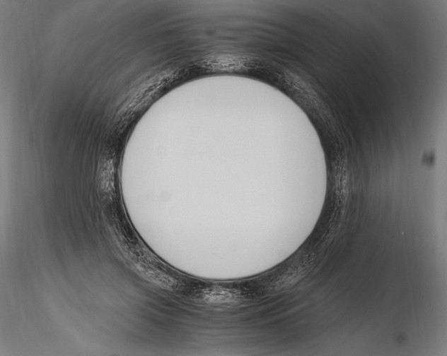 X0000115480549200912040955