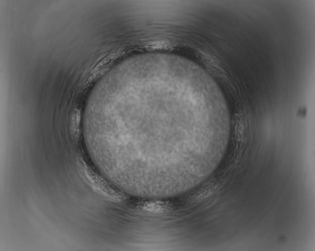 X0000115480550200912040955
