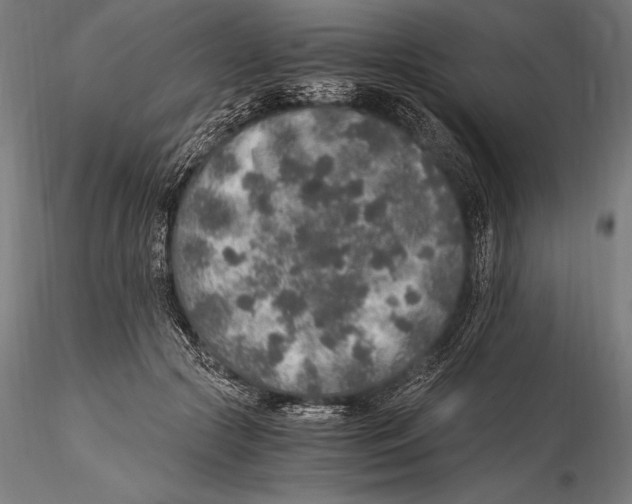 X0000115480553200912040955