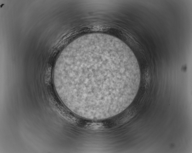 X0000115480554200912040955