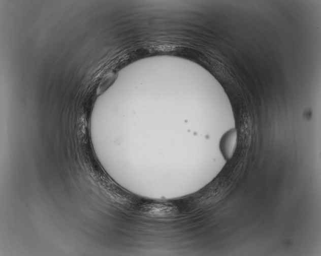 X0000115480555200912040955