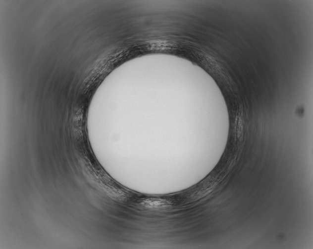 X0000115480557200912040955