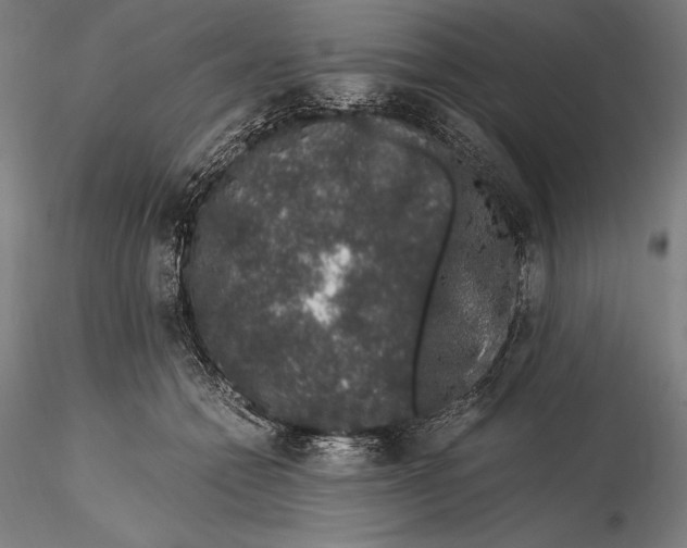 X0000115480558200912040955