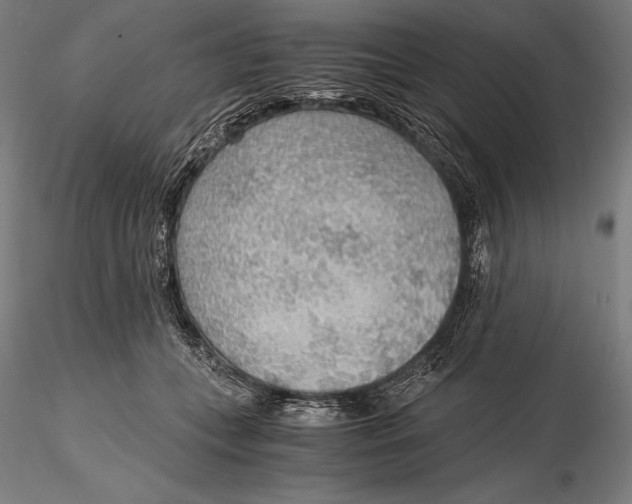 X0000115480559200912040955