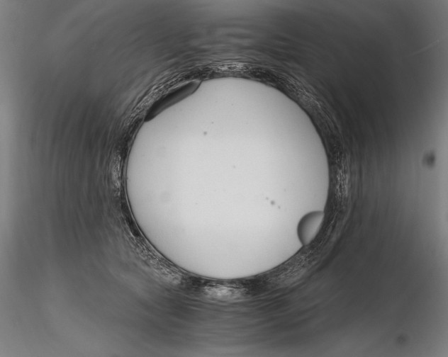 X0000115480561200912040955