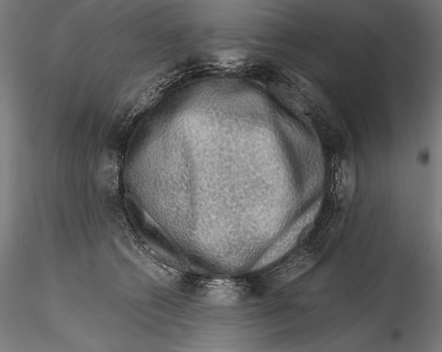 X0000115480562200912040955