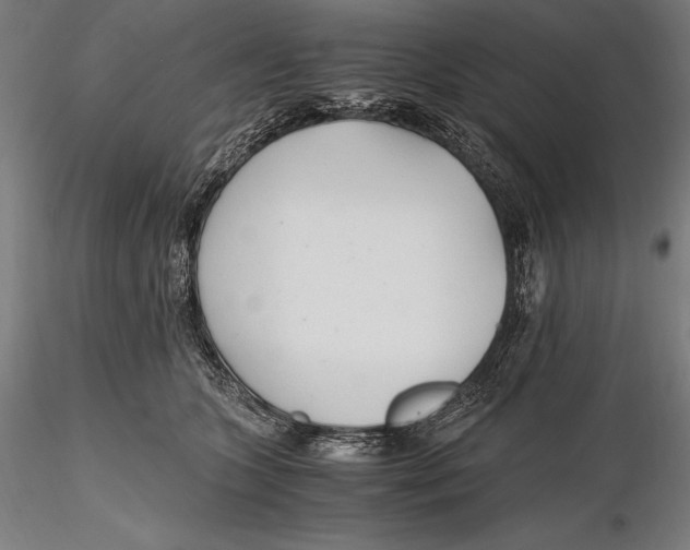 X0000115480563200912040955