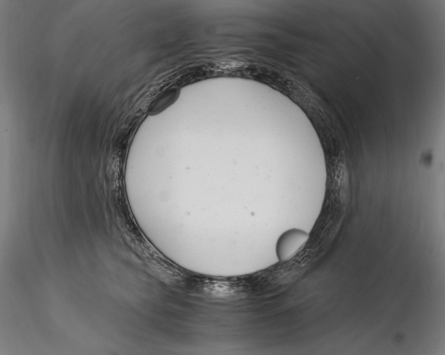X0000115480565200912040955