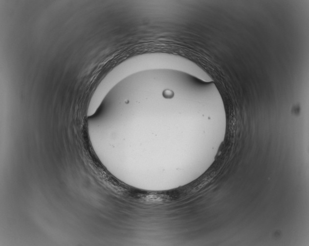 X0000115480566200912040955