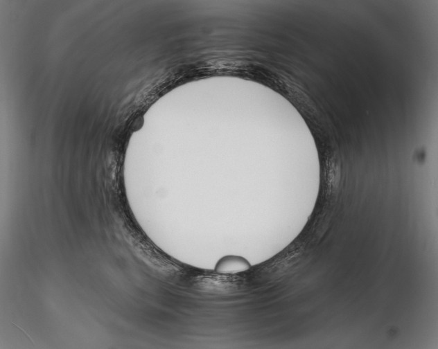 X0000115480567200912040955