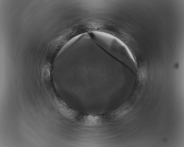 X0000115480570200912040955