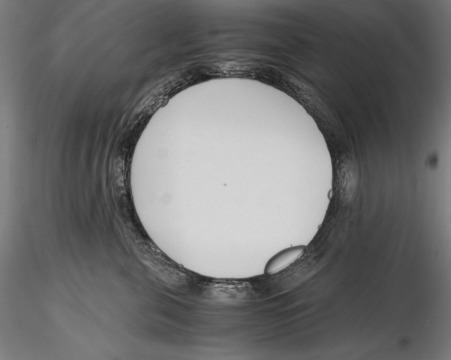 X0000115480571200912040955