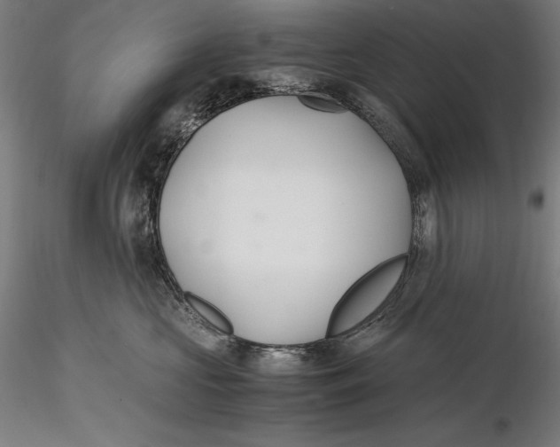 X0000115480573200912040955