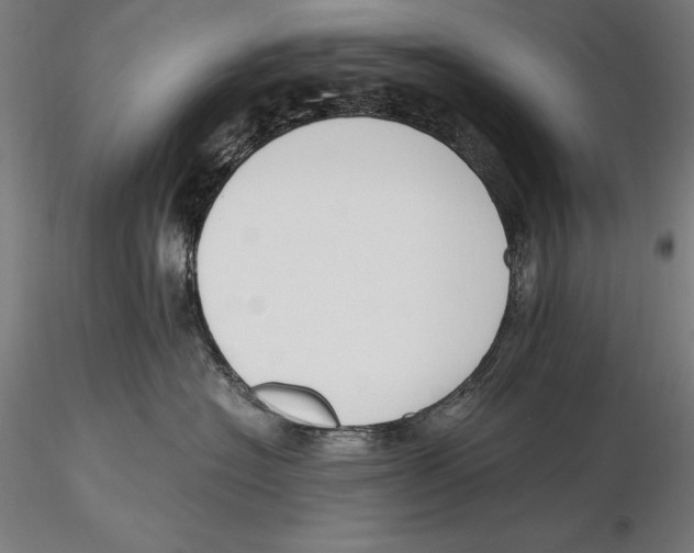 X0000115480574200912040955