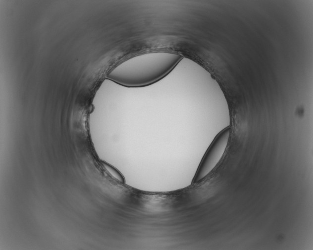 X0000115480575200912040955