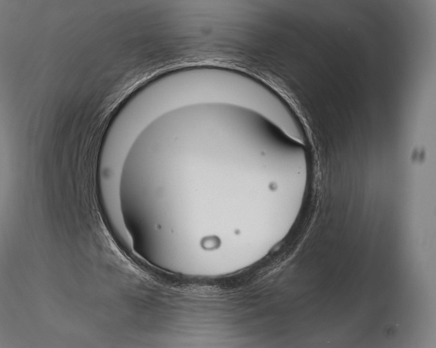 X0000115480577200912040955