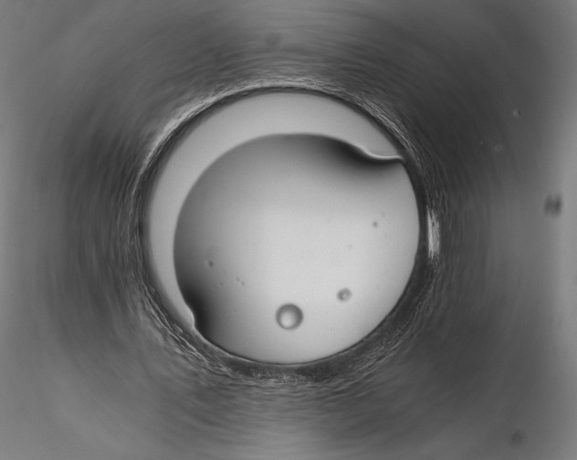 X0000115480579200912040954