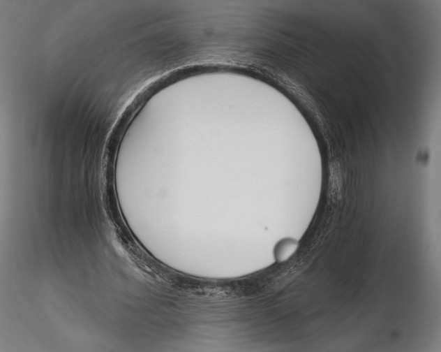 X0000115480580200912040954