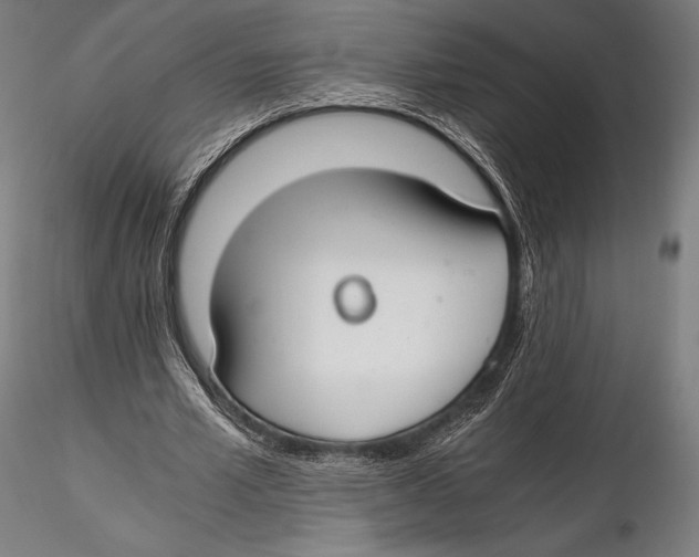 X0000115480581200912040954