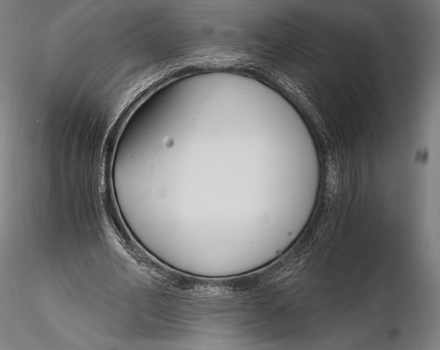 X0000115480582200912040954
