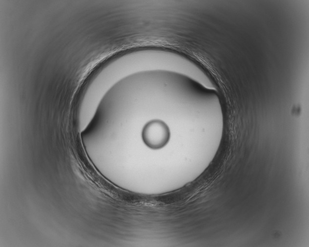 X0000115480583200912040954