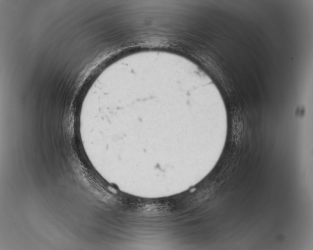 X0000115480584200912040954