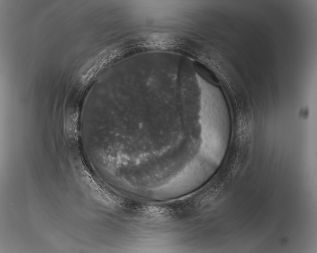 X0000115480585200912040954