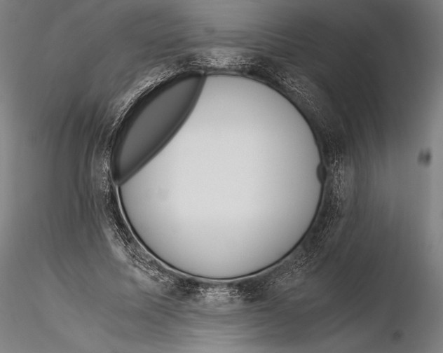 X0000115480587200912040954