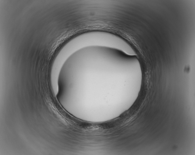 X0000115480589200912040954