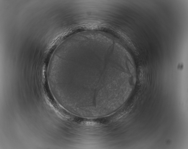 X0000115480590200912040954