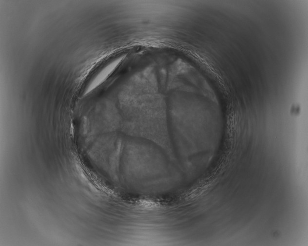 X0000115480592200912040954
