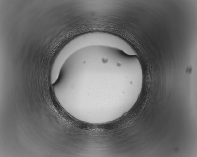 X0000115480593200912040954