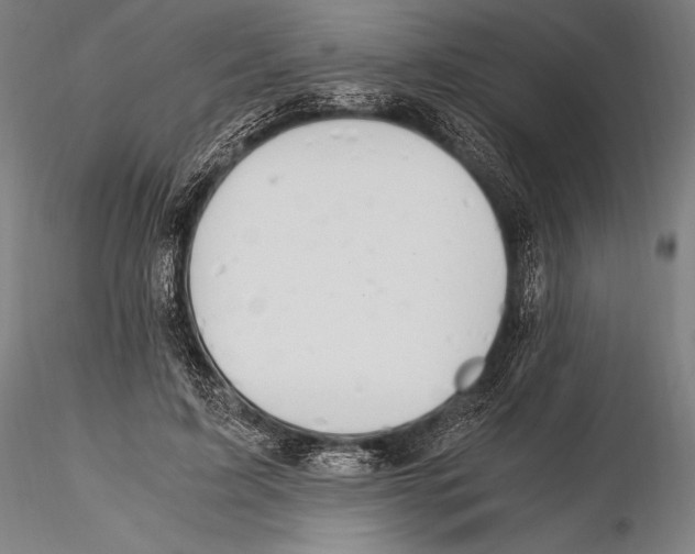 X0000115480595200912040954