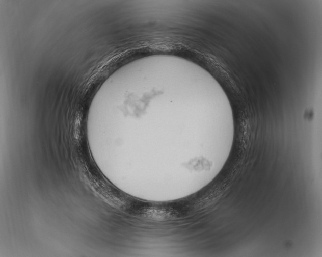 X0000115480596200912040954