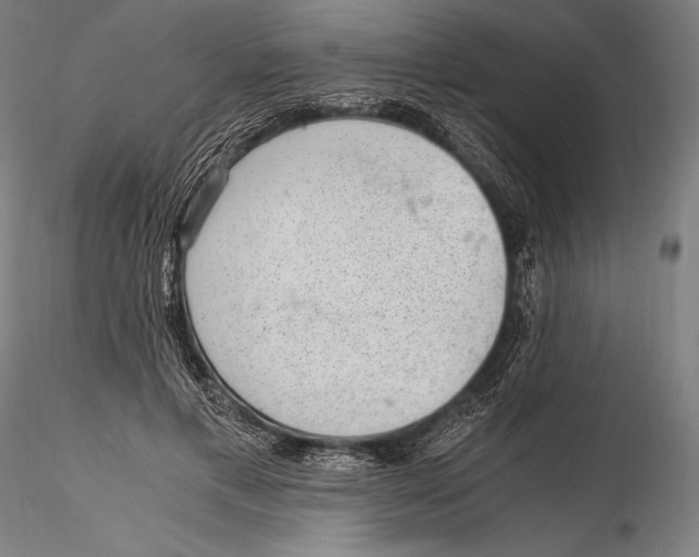 X0000115480597200912040954