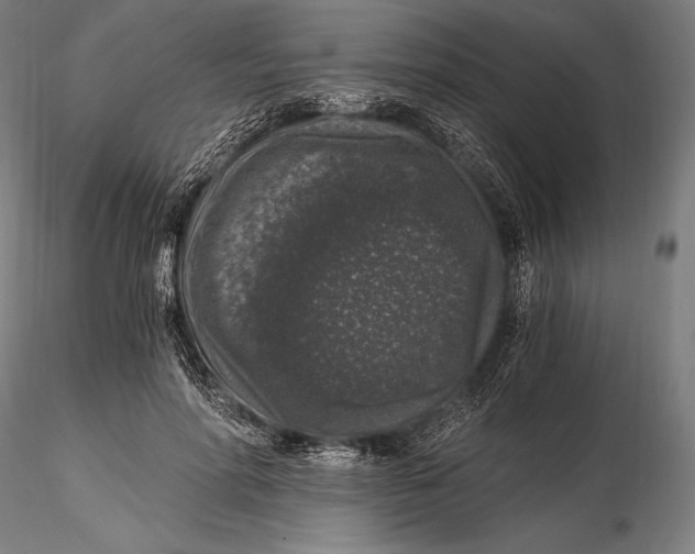 X0000115480598200912040954