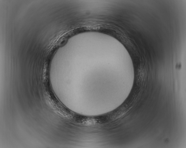 X0000115480600200912040954