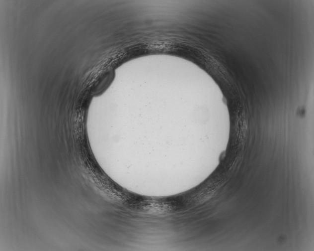 X0000115480601200912040954