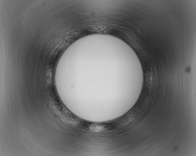 X0000115480602200912040954