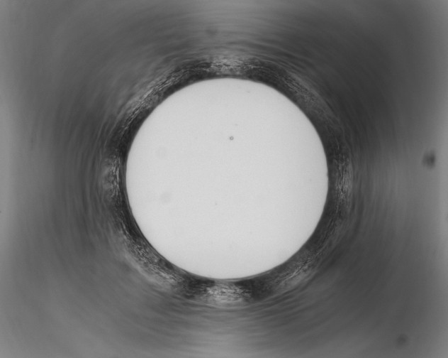 X0000115480603200912040954