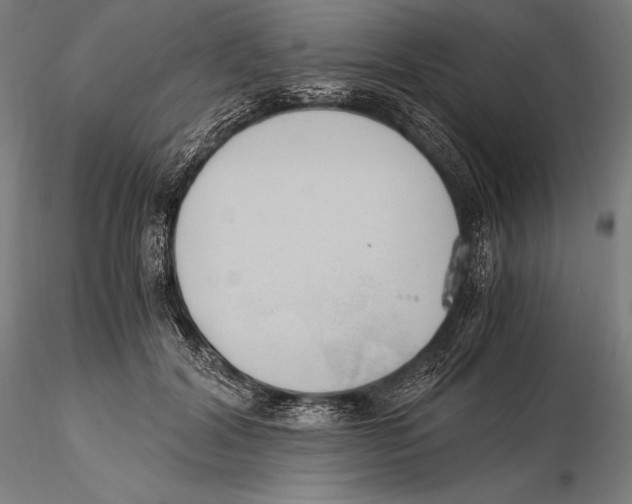X0000115480604200912040954
