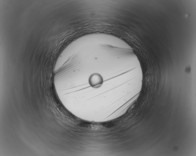 X0000115480605200912040954