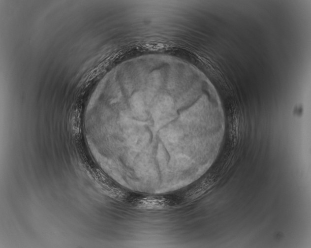 X0000115480606200912040954