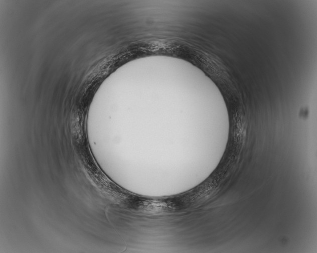 X0000115480607200912040954