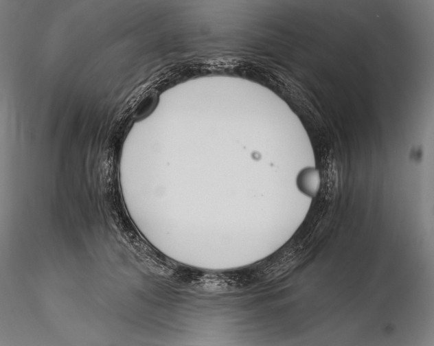 X0000115480608200912040954