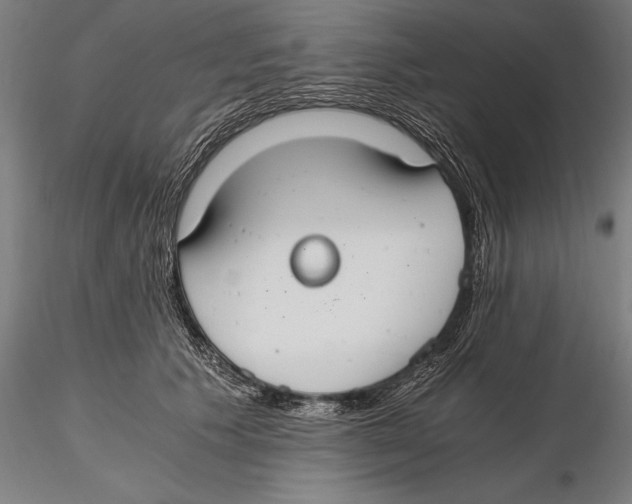 X0000115480609200912040954